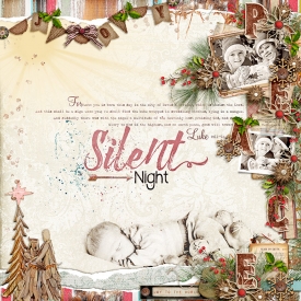 SPD-Silent-Night-28Nov.jpg