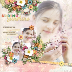 SPD-spring-sunshine.jpg