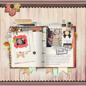 SPD_DSD_SW_TOT_Layout3.jpg
