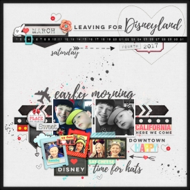 SPD_D_T_Layout2.jpg