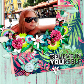 SPD_believeinoyourdreams-JBS-TakeASelfie-ck01.jpg