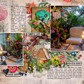 SimpleLife_Patio_2021-09-22.jpg