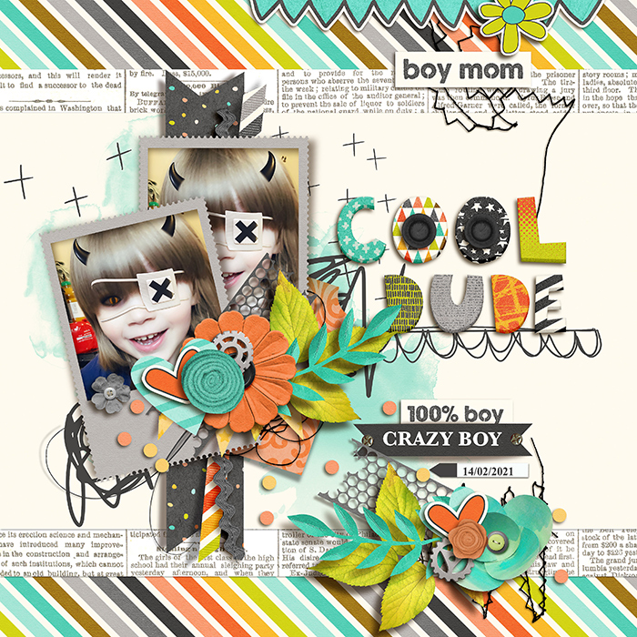 15_Laura-tnp_iNSD2020_PageDraft