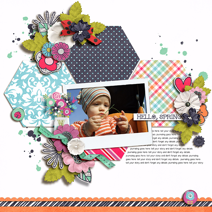 1704_Laura-MFish_EverydayHex2_01