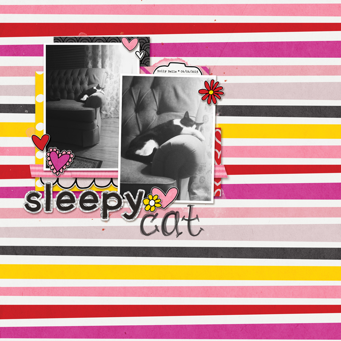 2015-04-04_SleepyCat_HollyBelle_WEB