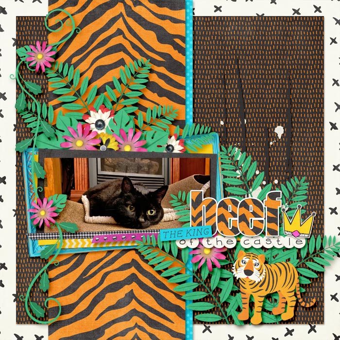 Cindi_LW_CatCrazy