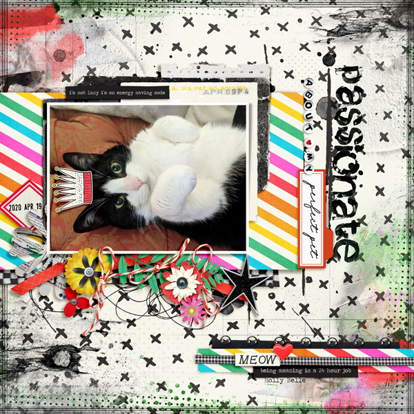 PassionateAboutMyPerfectPet_HollyBelle_2020-04-19