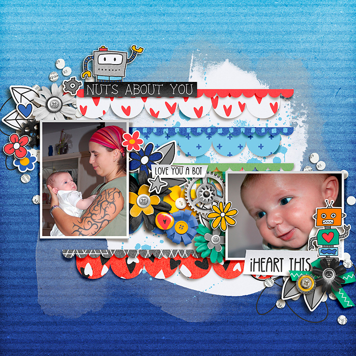 fdd_BonnyBorders_DU_tp3