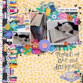 2020-11-24_2020-12-06_ILikeBigBooks_Holly_Belle_WEB.jpg