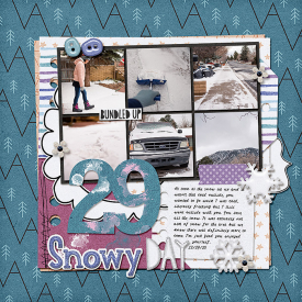 2020-12-29-snowyday_sm.jpg