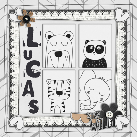 lucas_web2.jpg