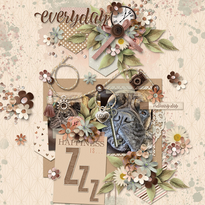 Everyday7001