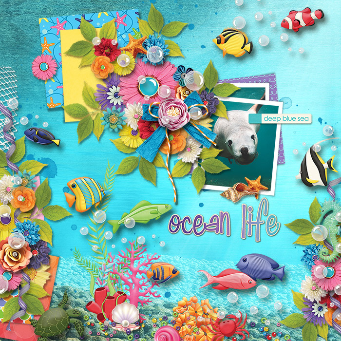 Ocean-Life700