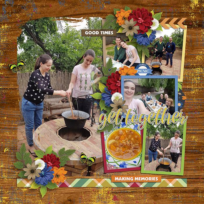 Picnicgettogetherbp7