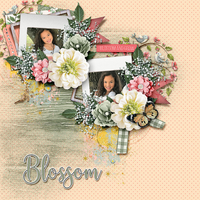 Blossom