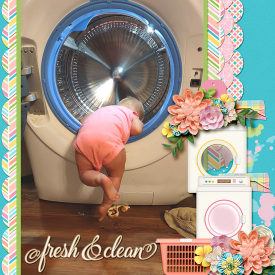 MFish_BigLittle15_jcd_springcleaning_robin_700.jpg