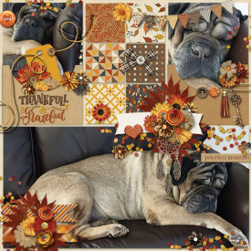 Thankful-for-you2.jpg