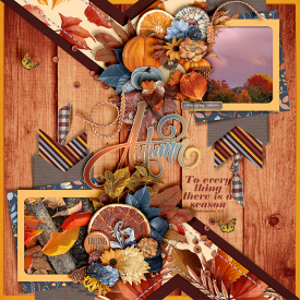 To-everything-a-season-700-490.jpg