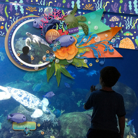 jcd-underthesea-Charlene.jpg