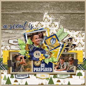 jo-scouts-layout.jpg