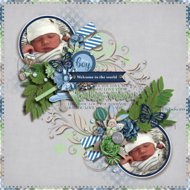 tnp_BloominLovelyV2_PD1-Aud_LO2.jpg