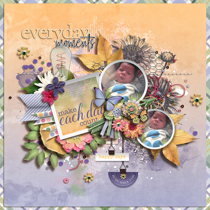 tnp-LILMISSLIVELY-pd4