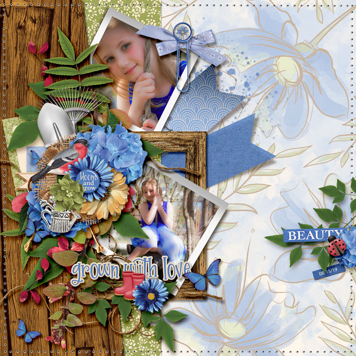 tnp_TUCKEDINv1_PD2-700