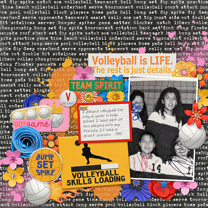 1993-volleyballislife_700