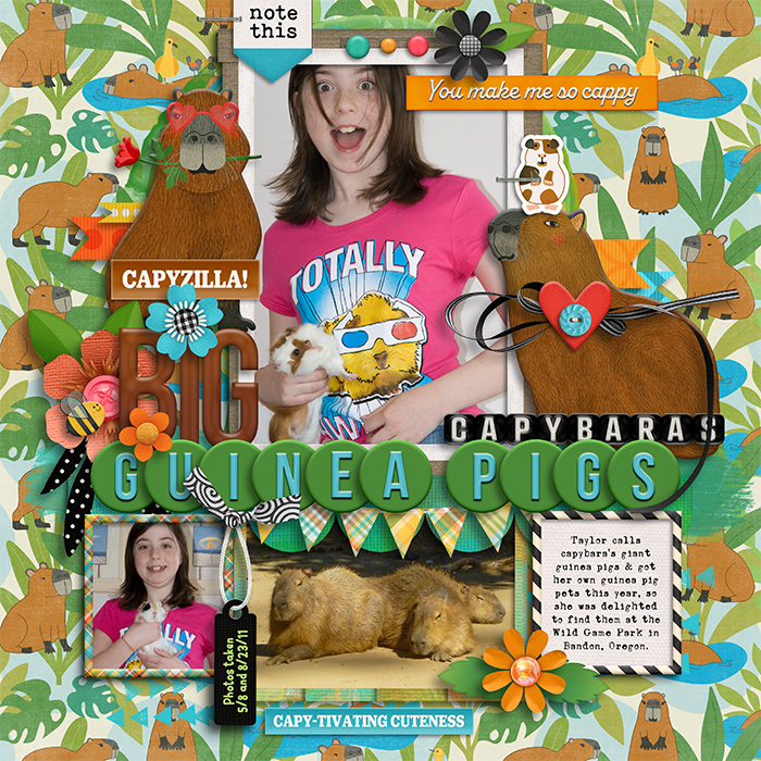 1SSDtracey--have-a-capy-day