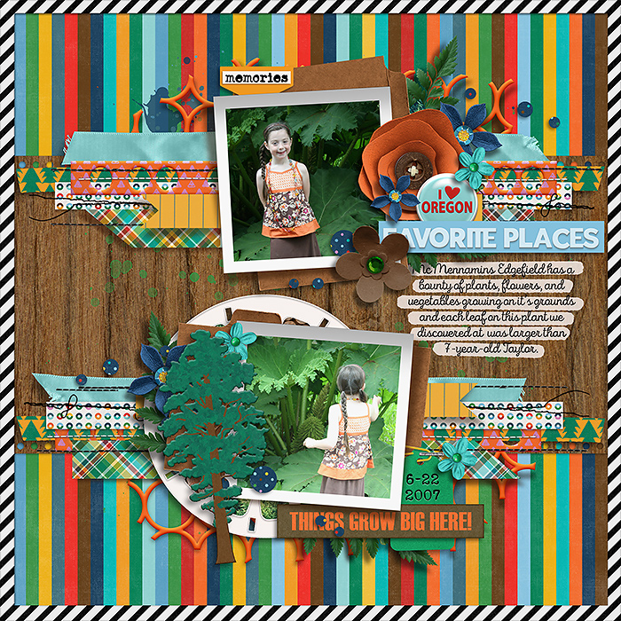 20070622-McMennamins-plant-tnp-PaperPlayNo1