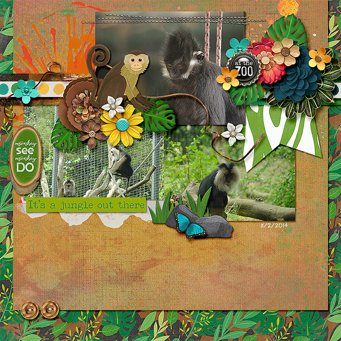 2014-08-02-jungleoutthere_sm