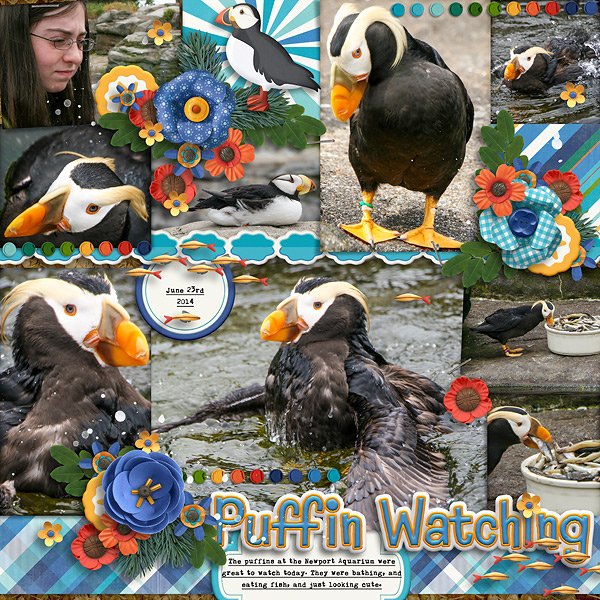 20140623-newport-aquarium-puffins-hsa-lots-_-lots-7-c