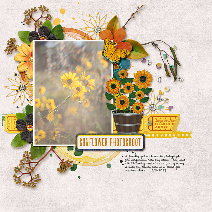 2023-09-05-sunflowerphotoshoot_sm