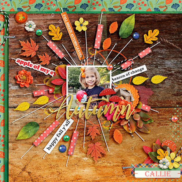 24002cmg-fall-string-template1-copy