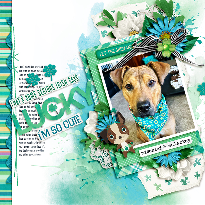 2cmg-irish-luck-cs3