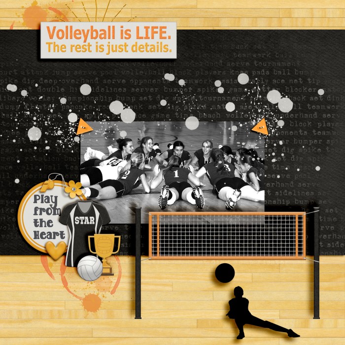 3-7_Volleyball_Season_700_x_700_