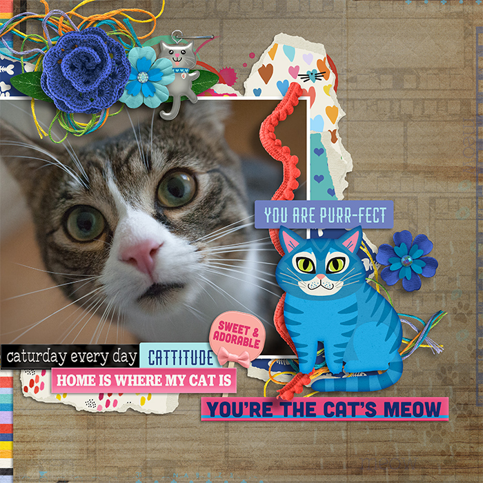 35-tracey1-catCrazy