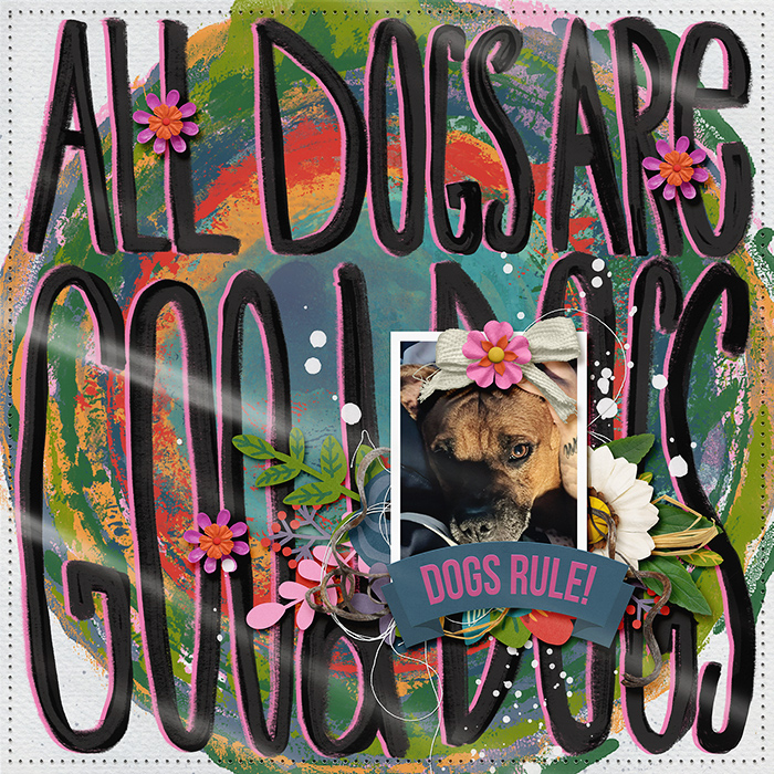 700cmg-adogslifetoo-pp8