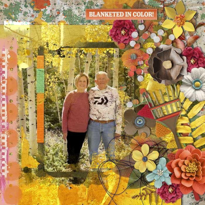 Blanketed_in_Color700