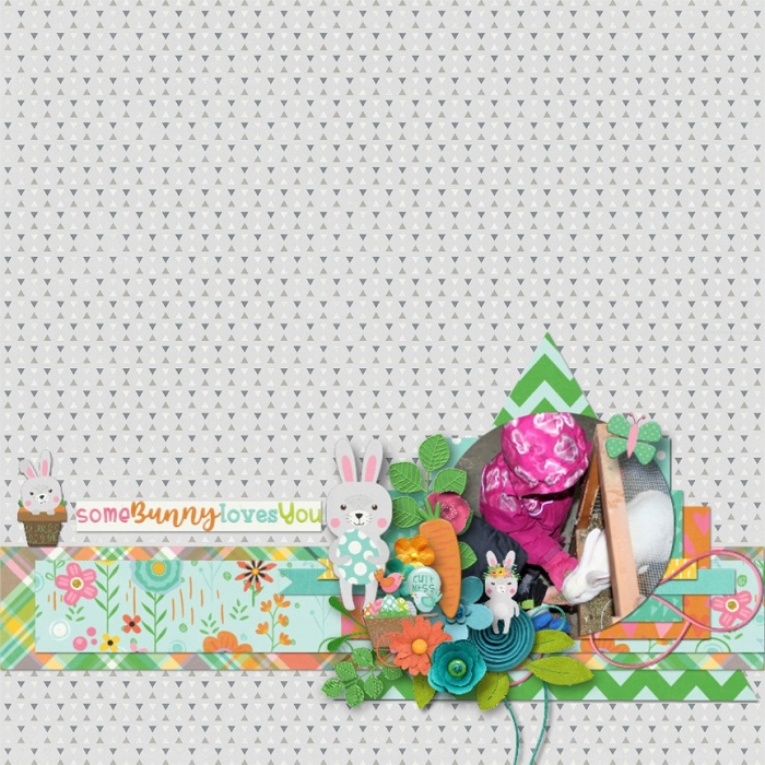 Bunny_Tails_-_Rochelle