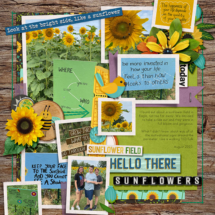 CMGsunflowers_web700