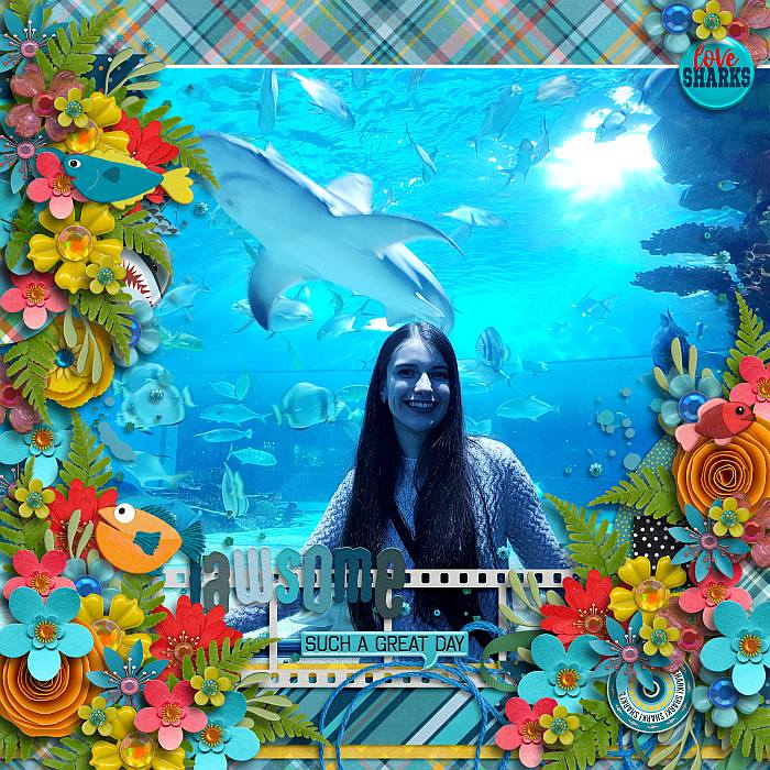 Eekasharkso8