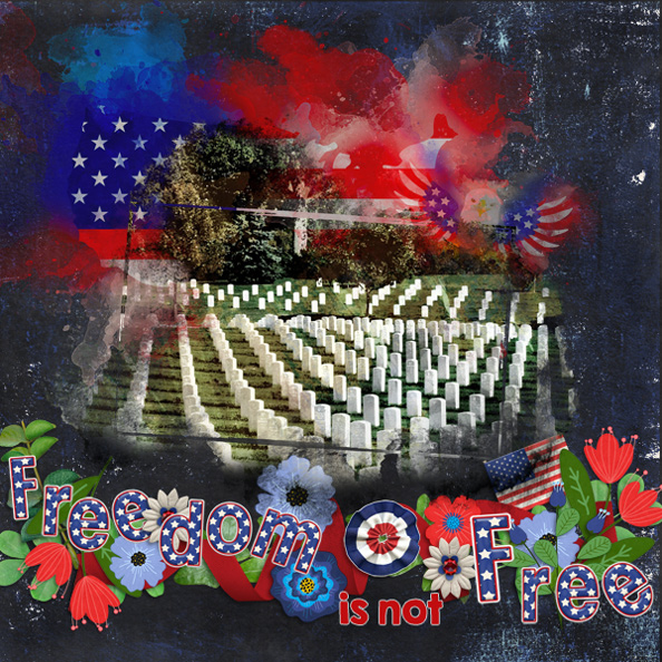 Freedom-is-Not-Free