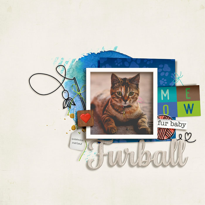 Furball_Dalis_700
