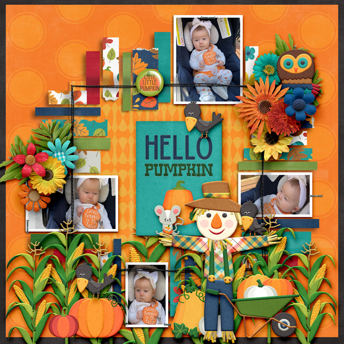 Gallery-Hello-Pumpkin