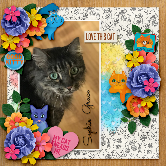 Gallery-Love-This-Cat