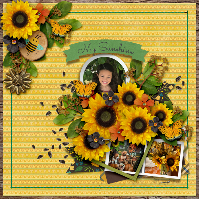 Gallery-My-Sunshine