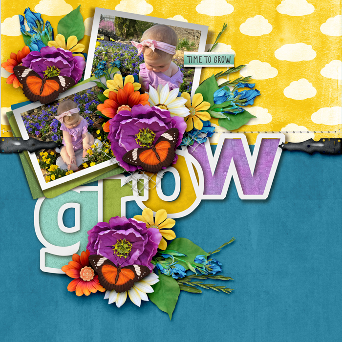 Gallery-Time-to-Grow