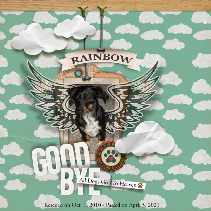 GoodBye-Rainbow