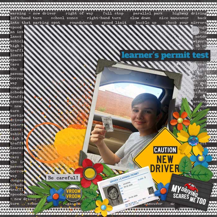 Learner_s_Permit700